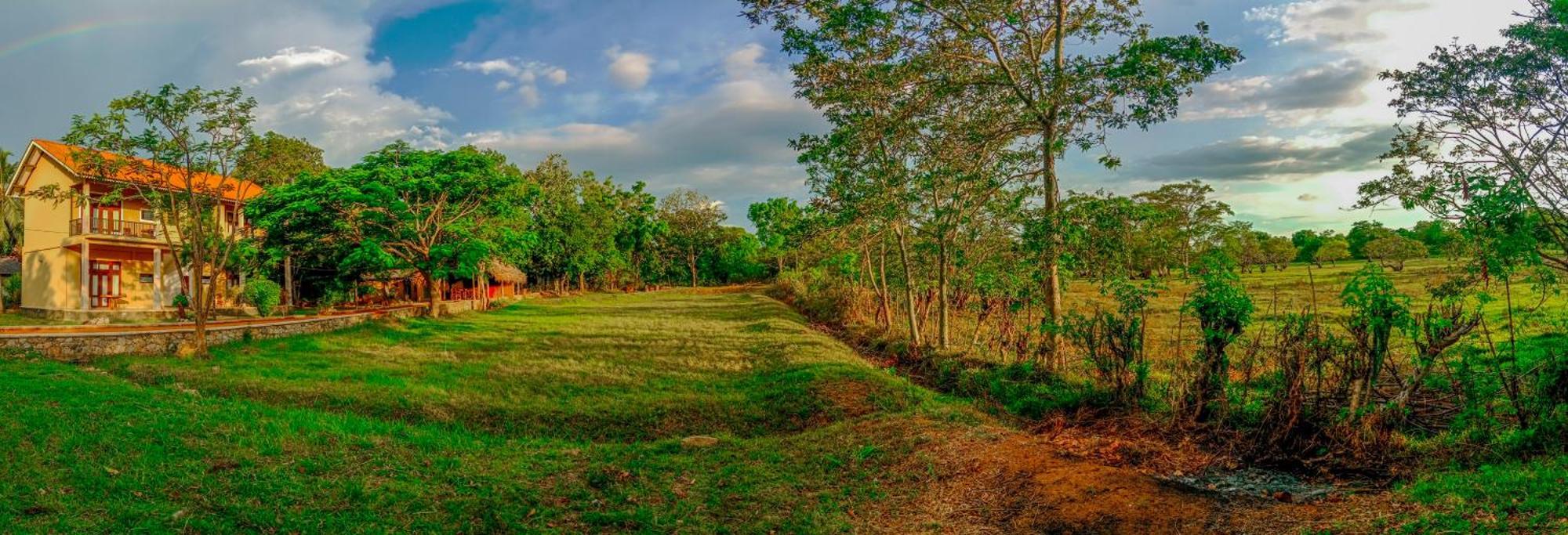 Sigiri Lanka Resort สิกิริยา ภายนอก รูปภาพ